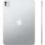 Купить Apple iPad Pro 13 2024 Wi-Fi + Cellular 1Tb silver (серебристый)